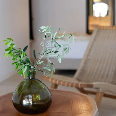 Сasa de vacaciones Levantes House Mykonos Ano Mera