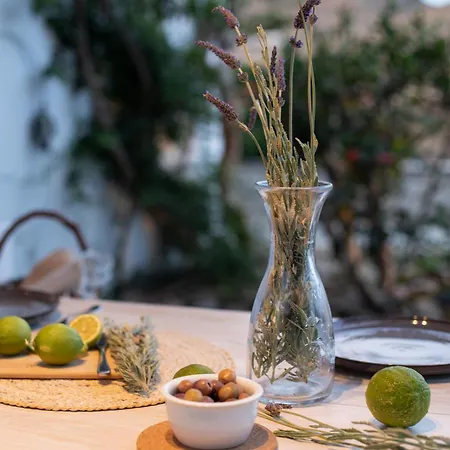 Levantes House Mykonos Vakantiehuis