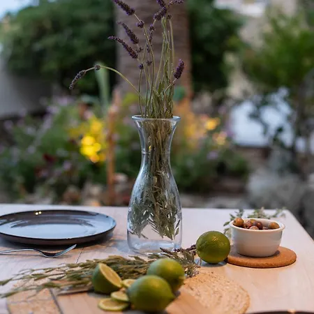 Levantes House Mykonos Ferienhaus *