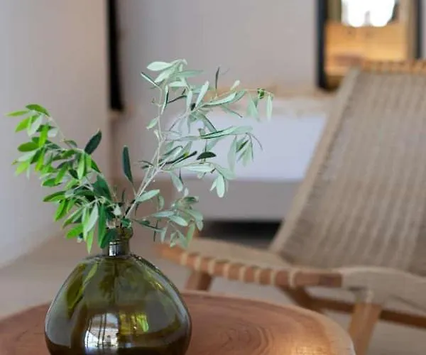 Feriehus Levantes House Mykonos Ano Mera