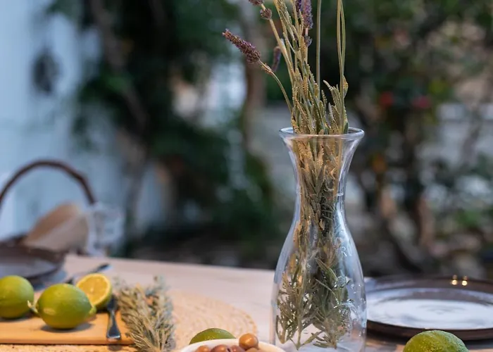 Levantes House Mykonos Feriehus